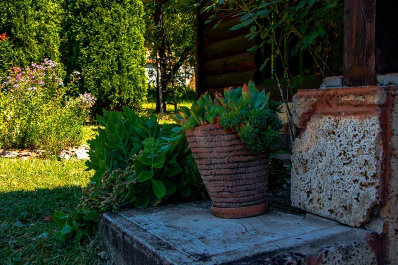 Villa Drinska Tajna Bajina Basta Exterior foto